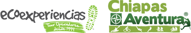 header-logo3.svg